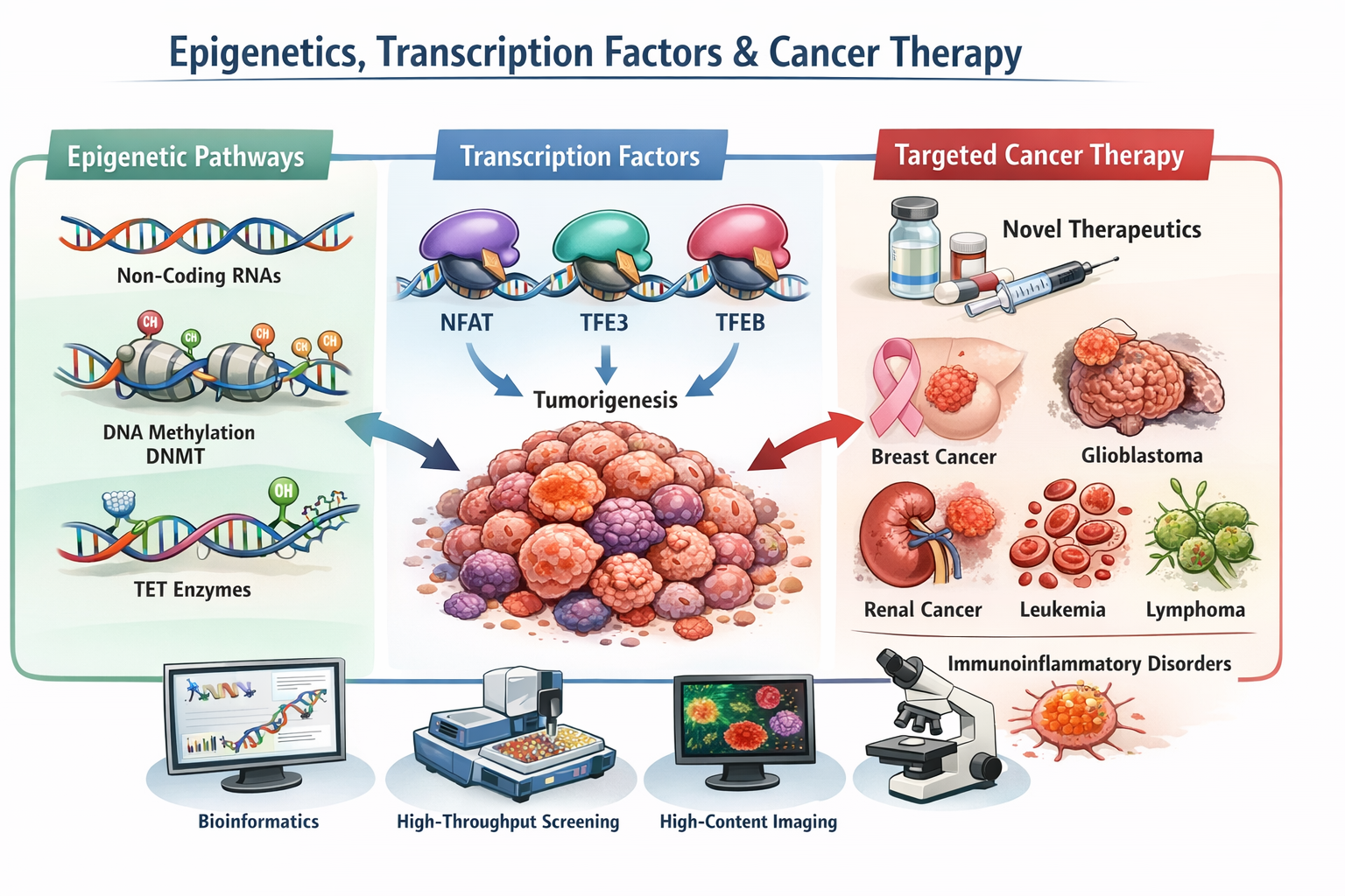 5. Transcriptional and epigenetic regulation in health and disease